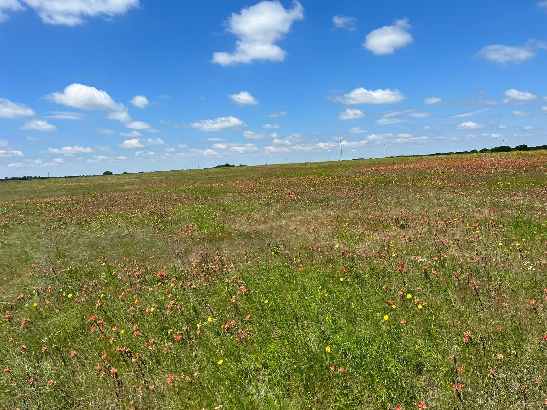 10 acres in Hill County featured view