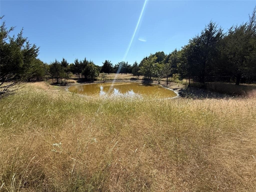 20.63 acres in Collin County gallery image 4