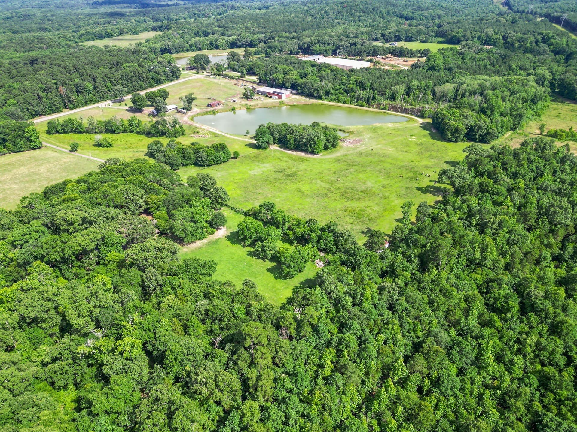 31.2 acres in Cass County - photo 27