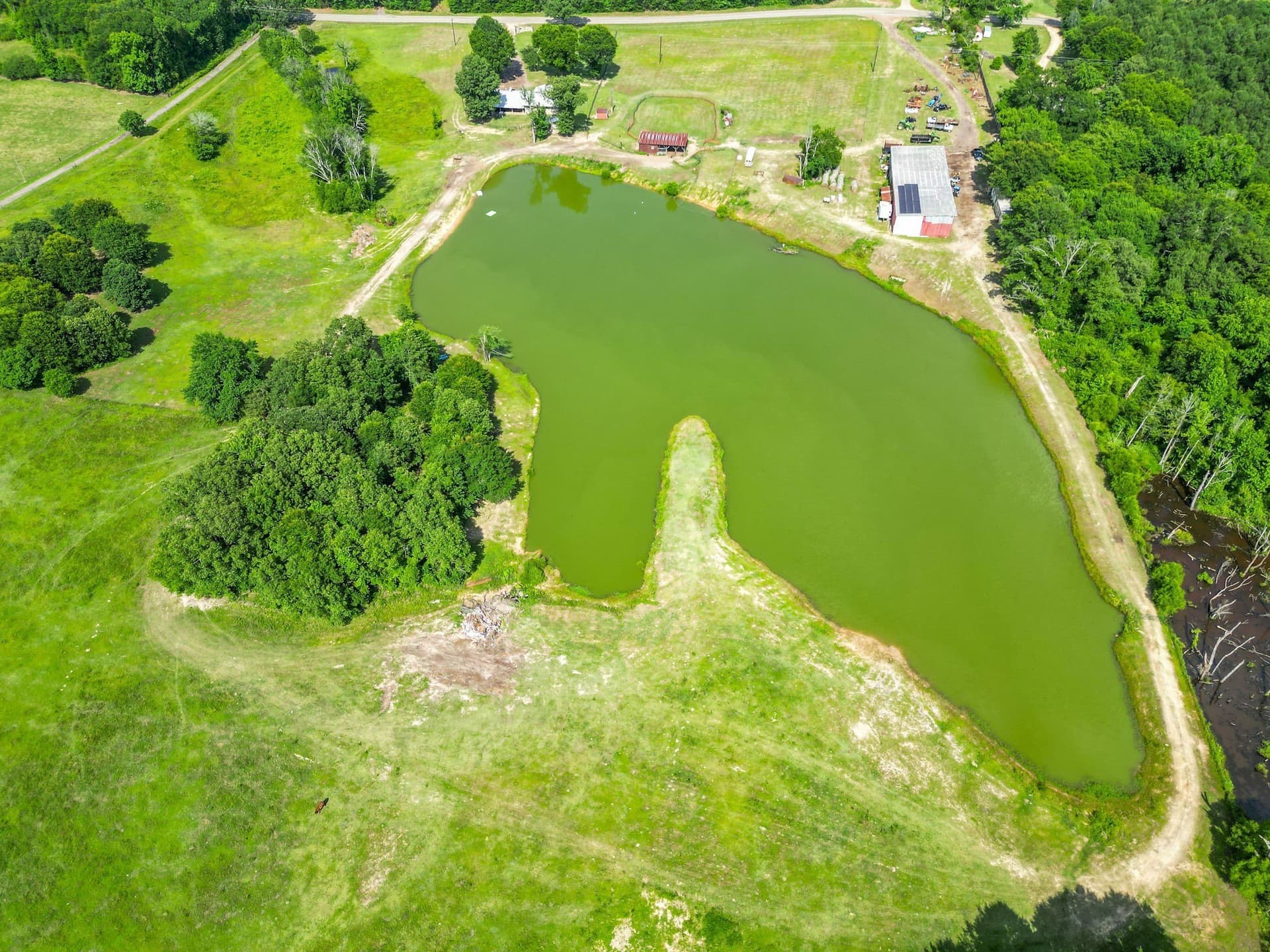 31.2 acres in Cass County - photo 28