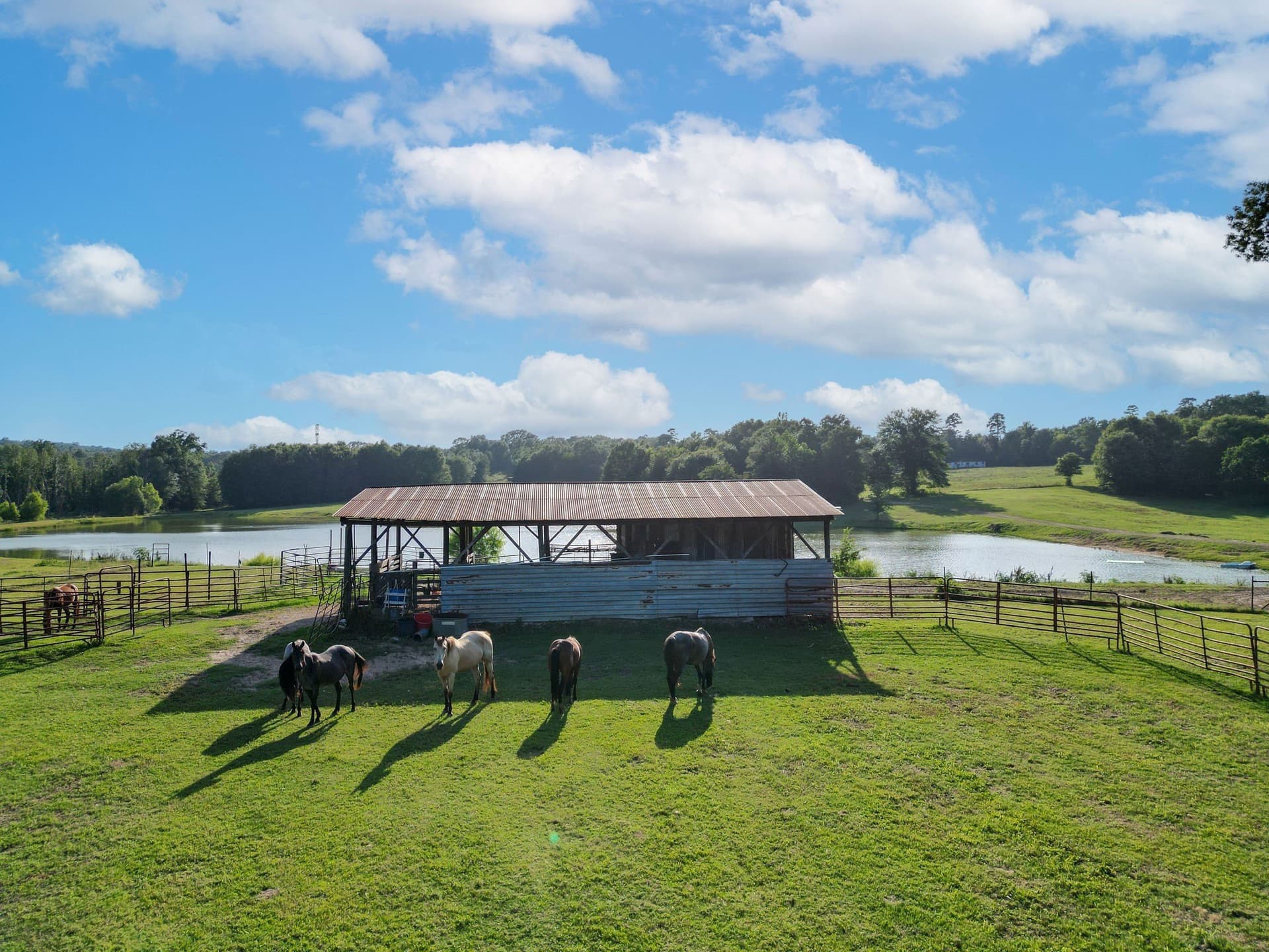 31.2 acres in Cass County - photo 33