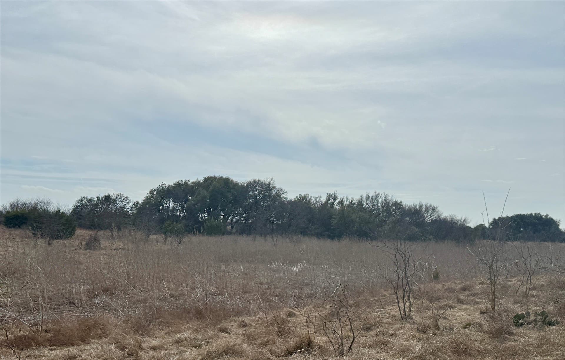 81 acres in Hamilton County - photo 12