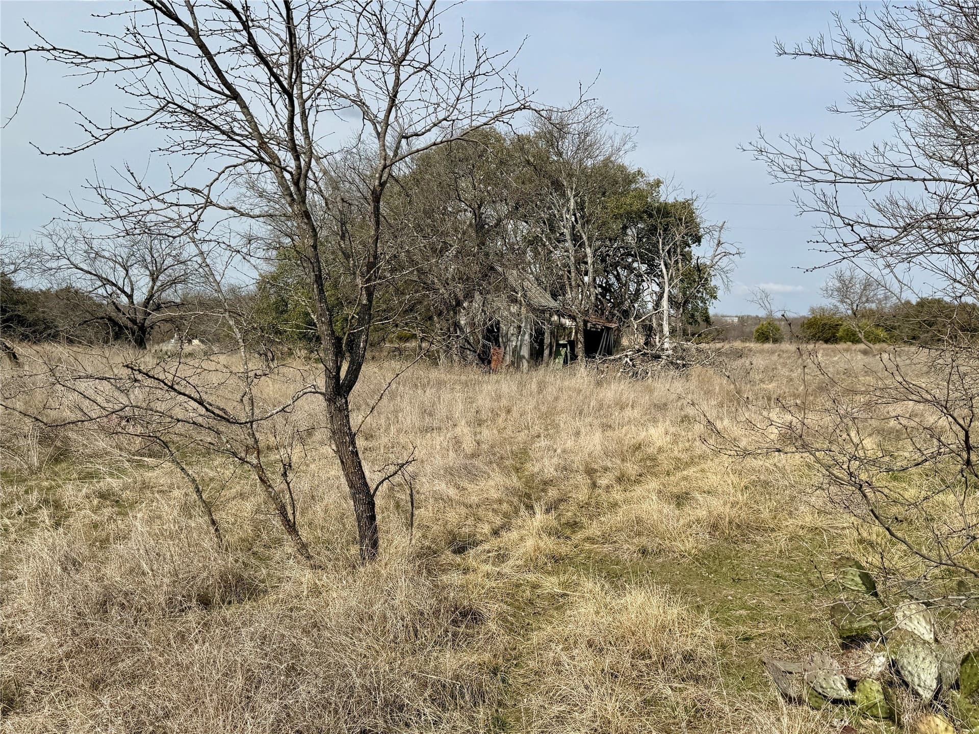 81 acres in Hamilton County - photo 20