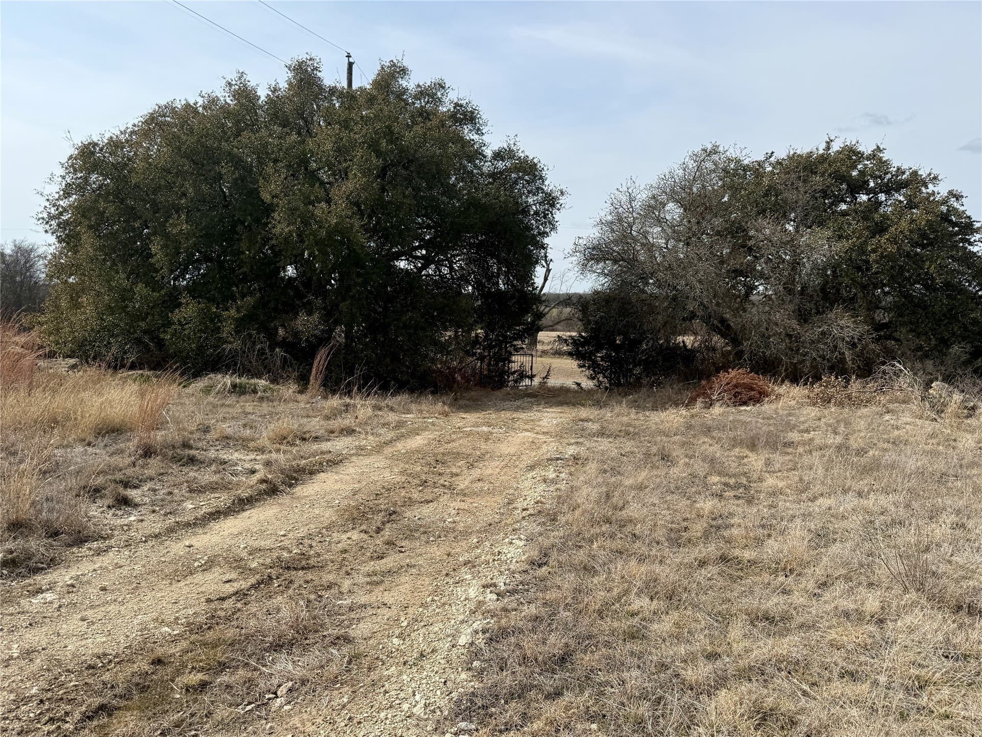 81 acres in Hamilton County - photo 17