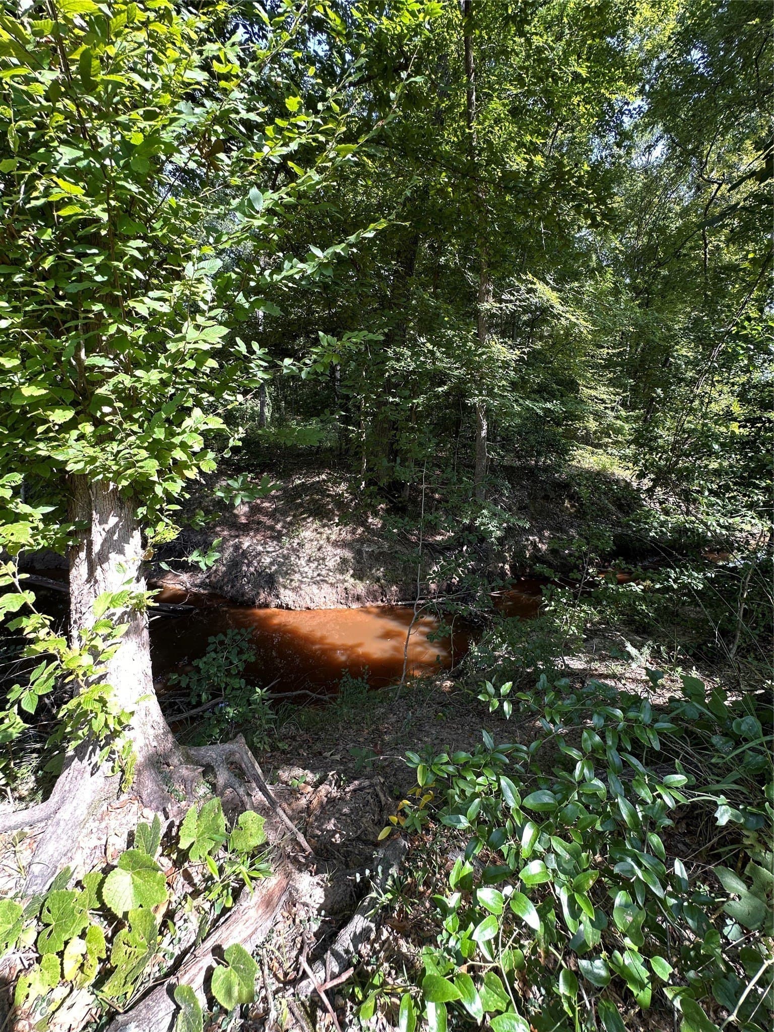 7.57 acres in Upshur County - photo 3