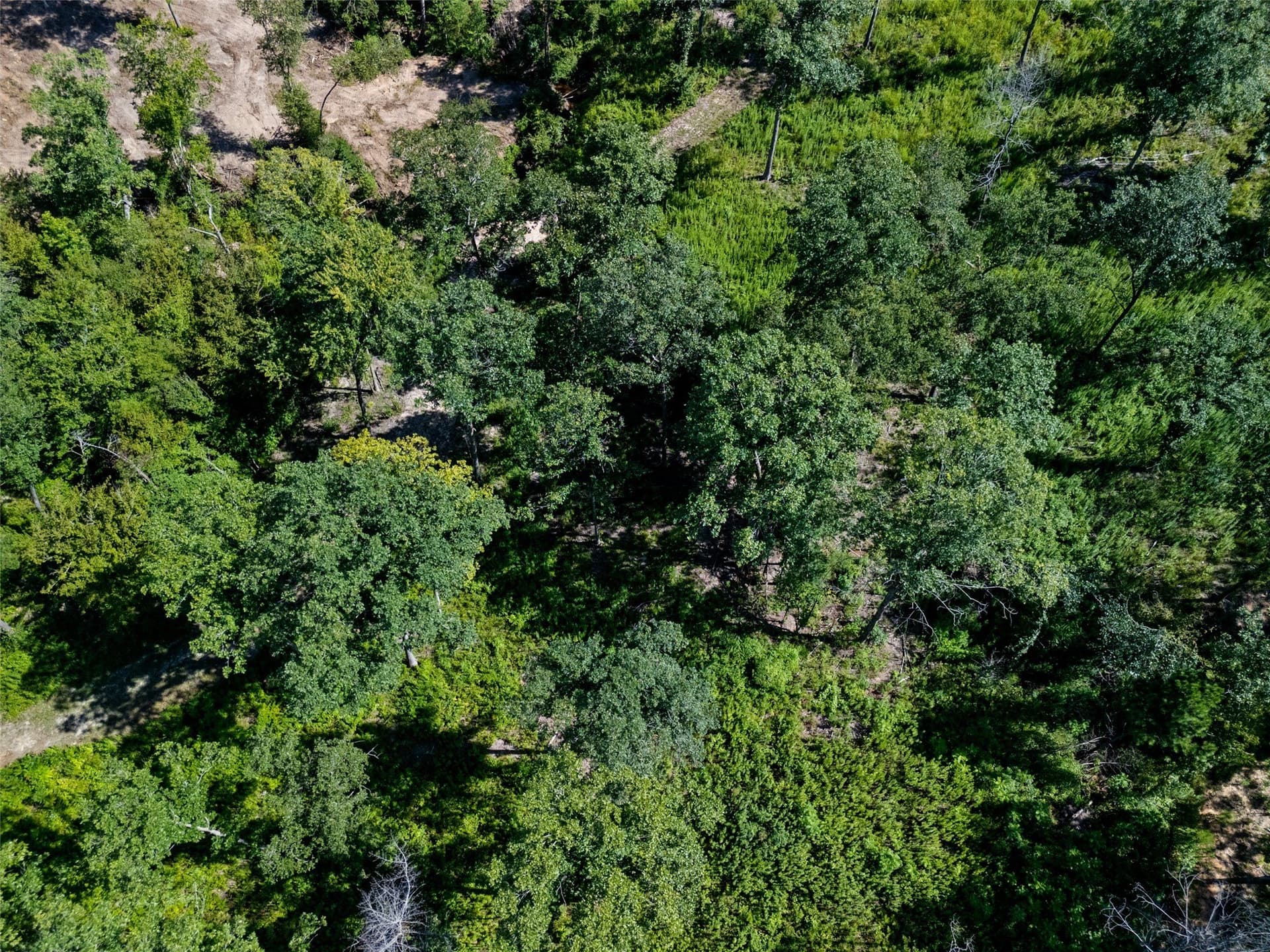 7.57 acres in Upshur County - photo 10
