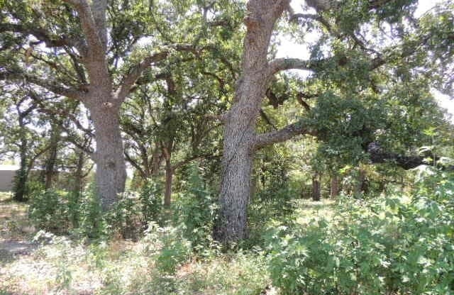 1.72 acres in Hunt County - photo 12