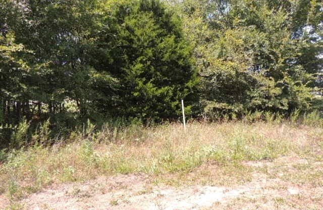 1.72 acres in Hunt County - photo 14