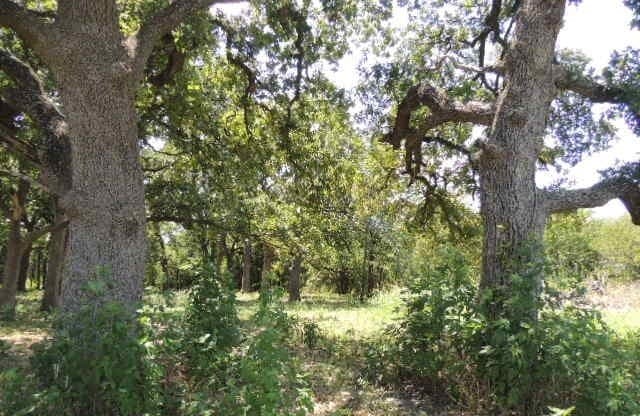 1.72 acres in Hunt County - photo 13
