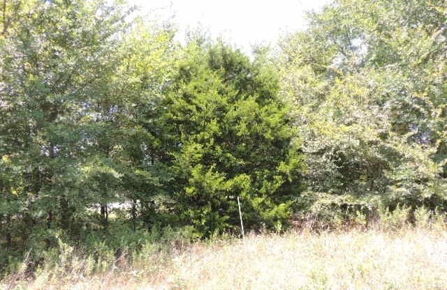 1.72 acres in Hunt County - photo 6