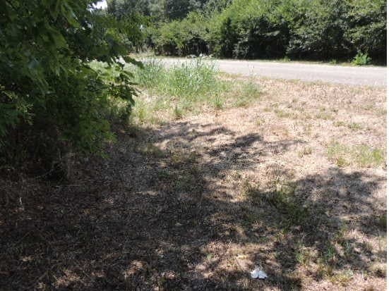 1.72 acres in Hunt County - photo 7