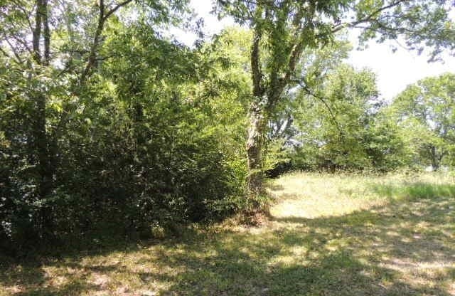 1.72 acres in Hunt County - photo 11