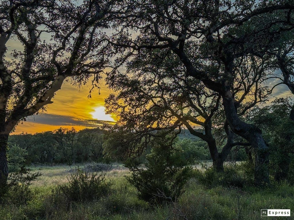 25.39 acres in Blanco County gallery image 2