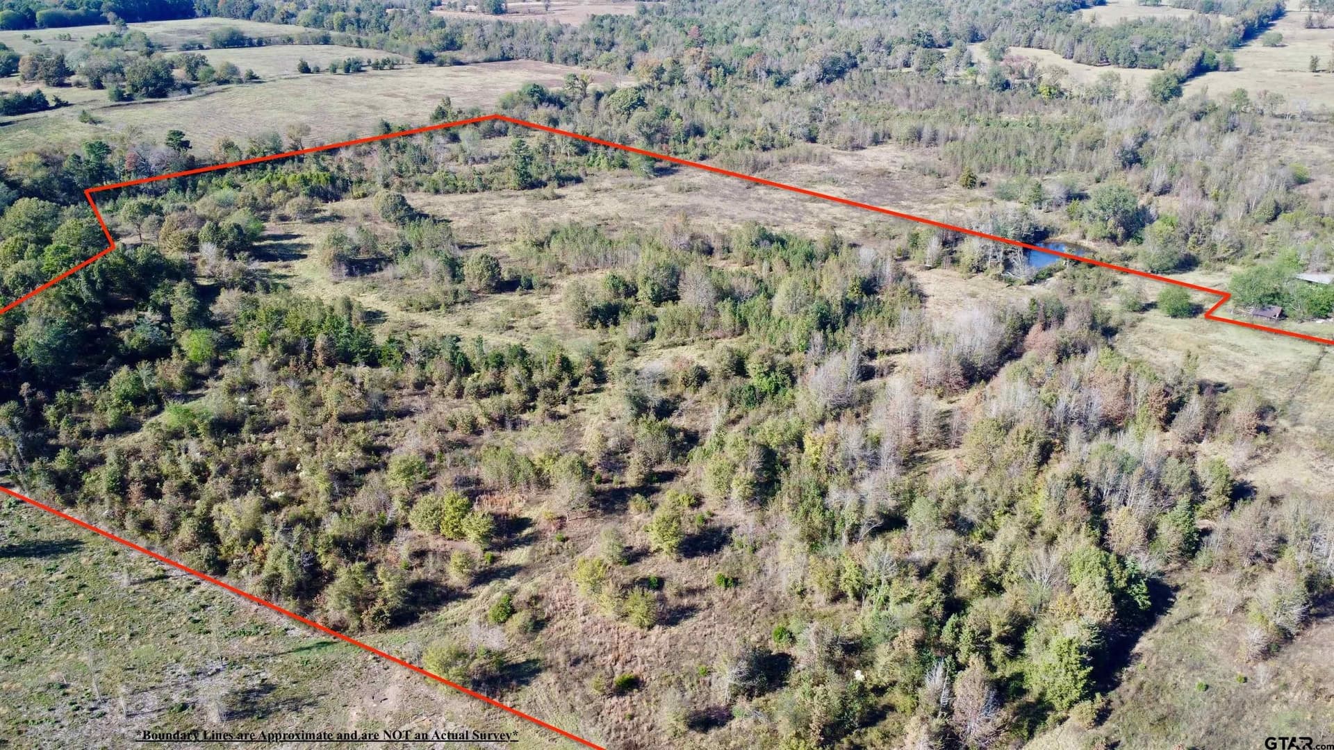 46.91 acres in Titus County featured view