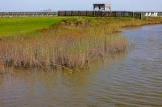 0.31 acres in Aransas County - photo 20