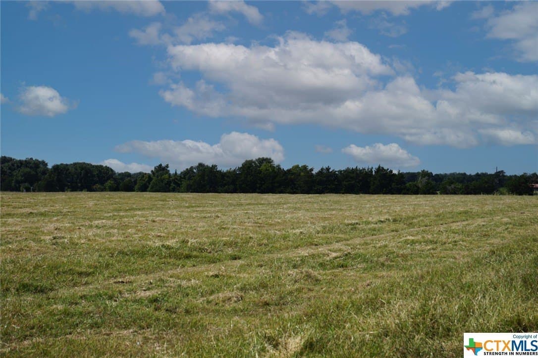 37 acres in Burleson County gallery image 2