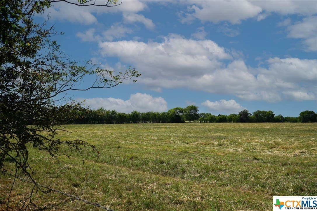 37 acres in Burleson County gallery image 4
