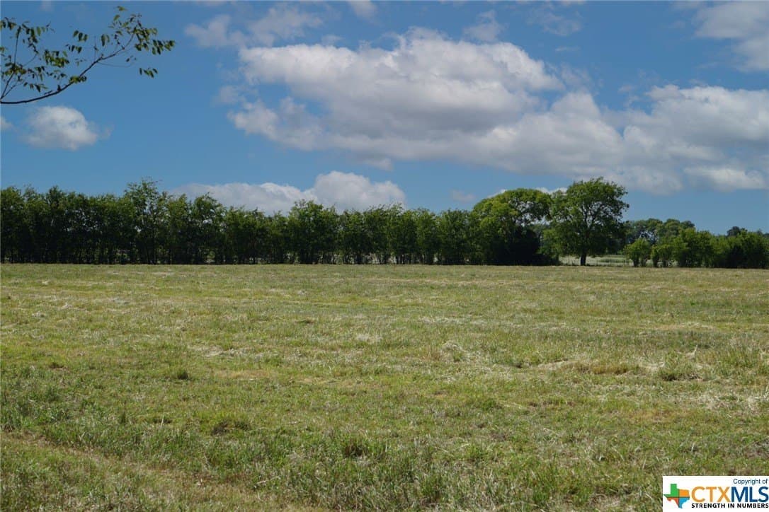 37 acres in Burleson County gallery image 3