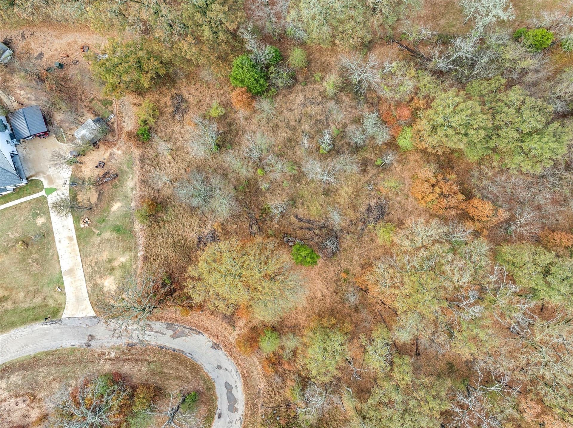 1.02 acres in Rains County gallery image 3