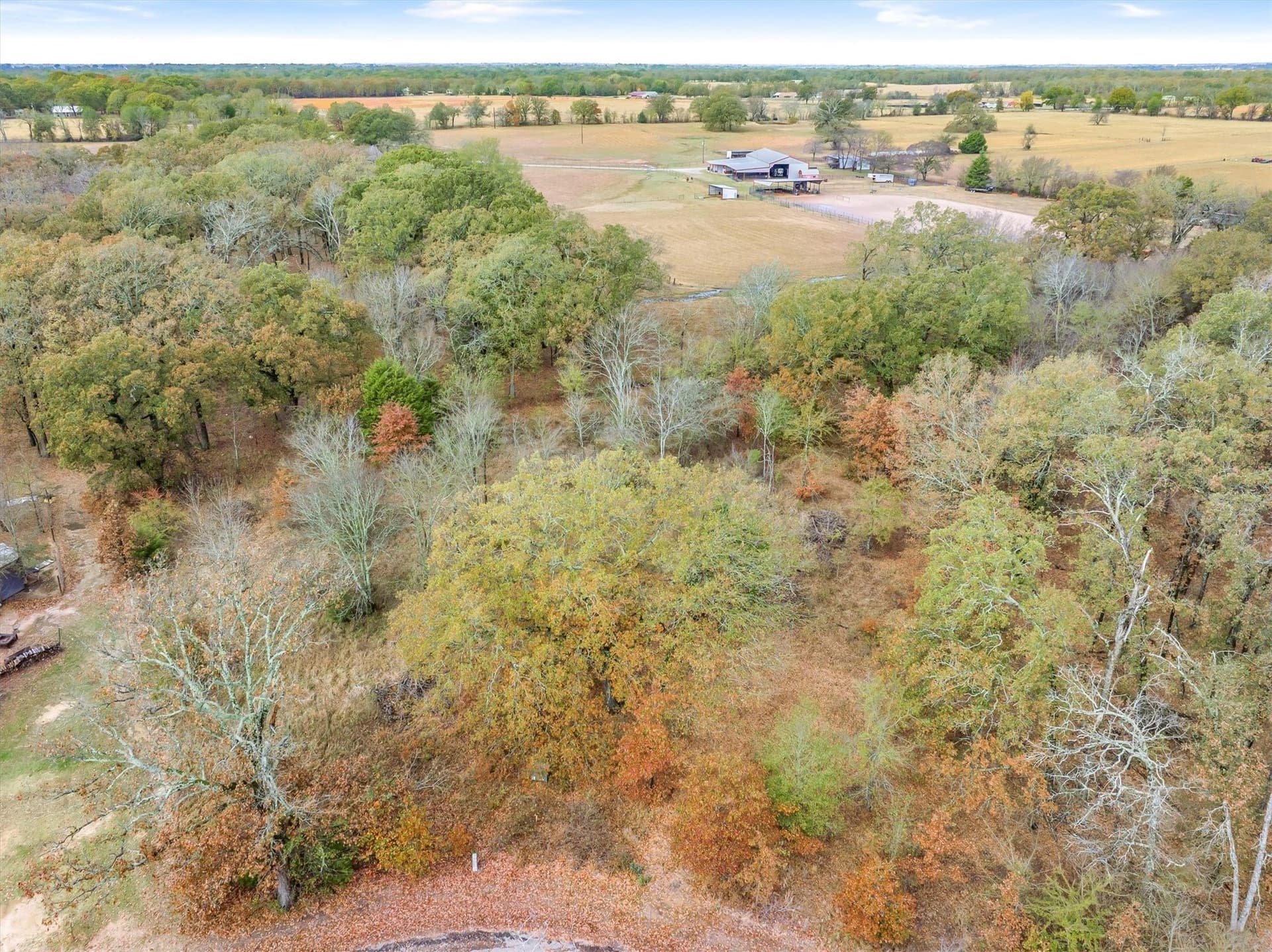 1.02 acres in Rains County gallery image 4