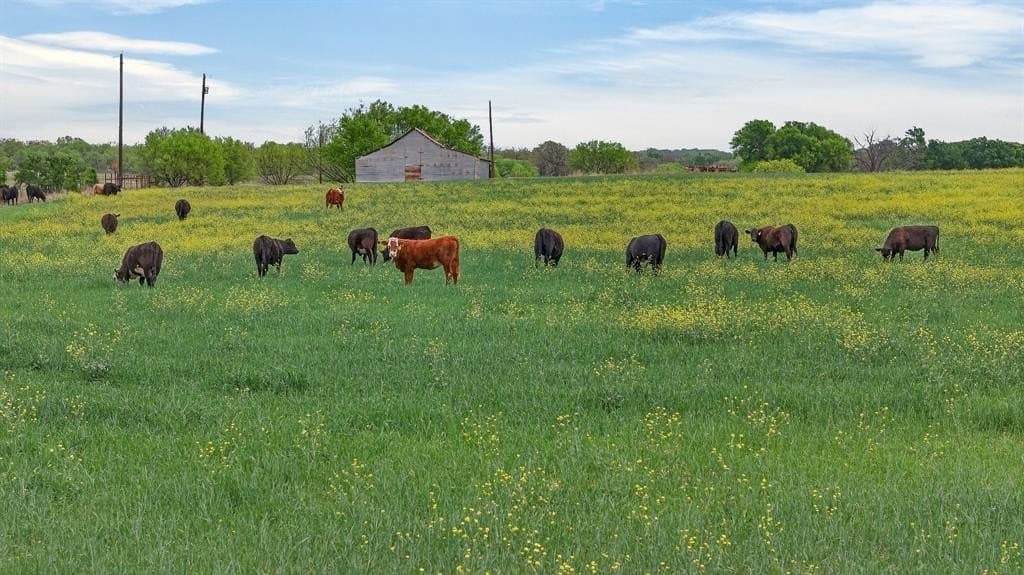 163 acres in Hood County gallery image 3