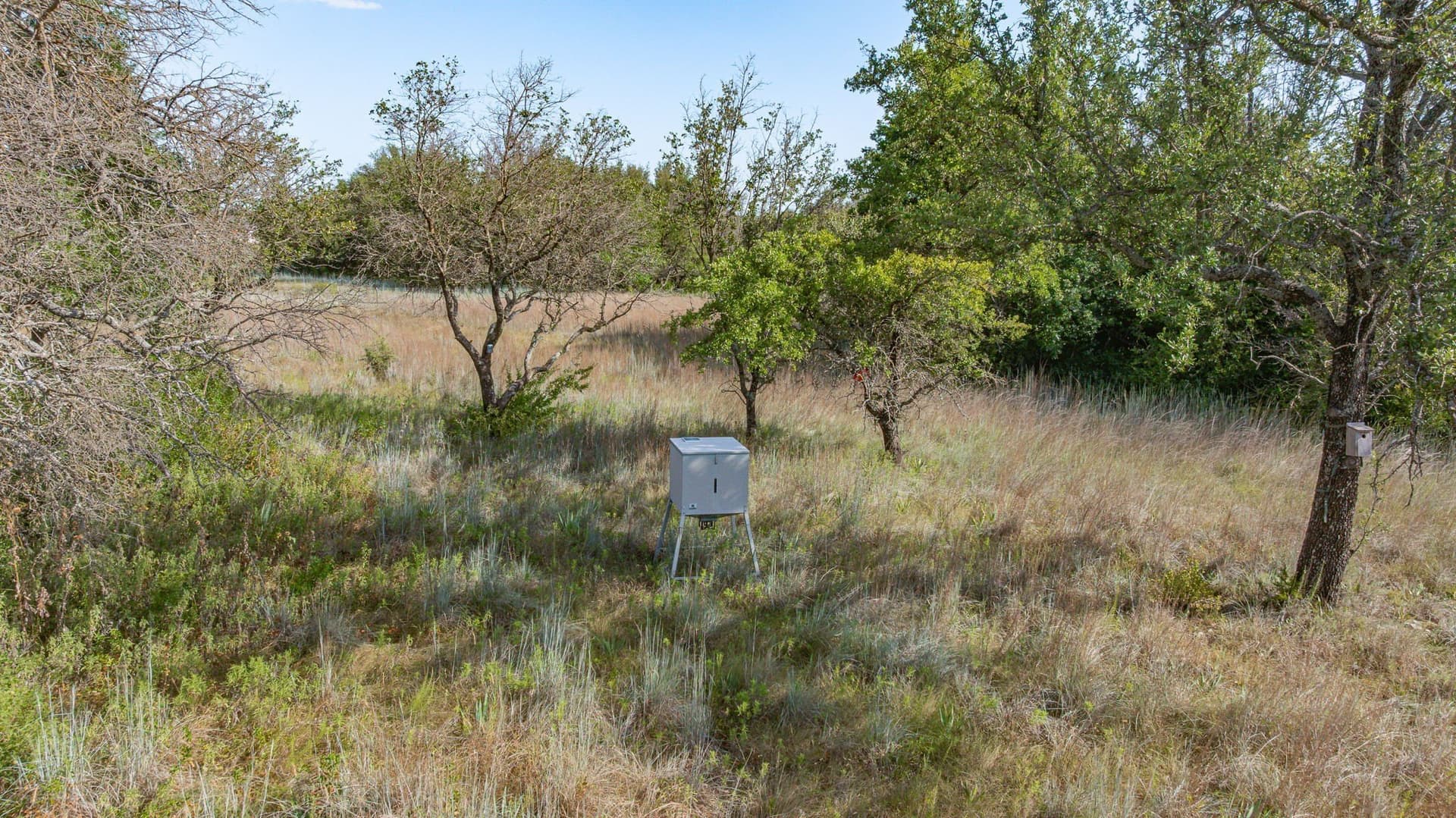 5 acres in Comanche County - photo 6