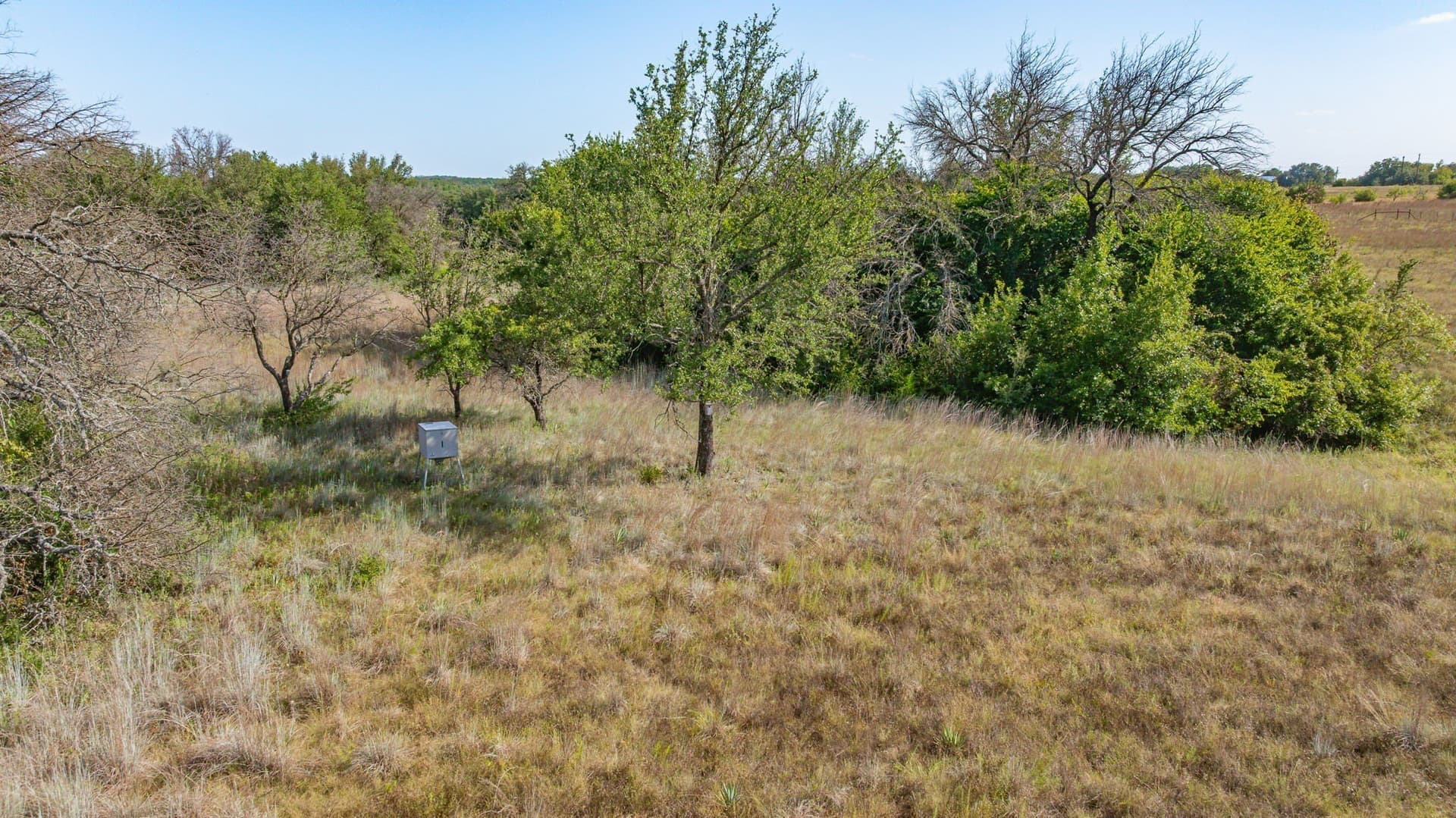 5 acres in Comanche County gallery image 2