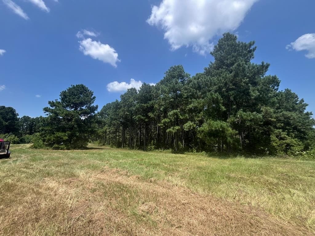 52.68 acres in Texas County - photo 3