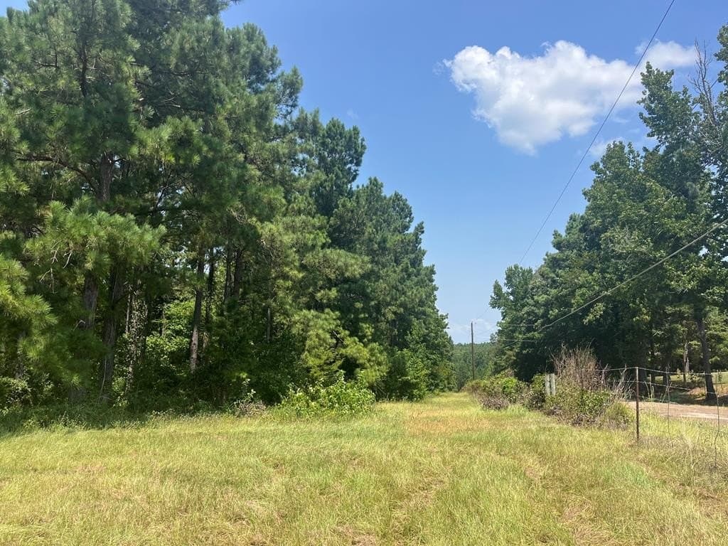 52.68 acres in Texas County - photo 4
