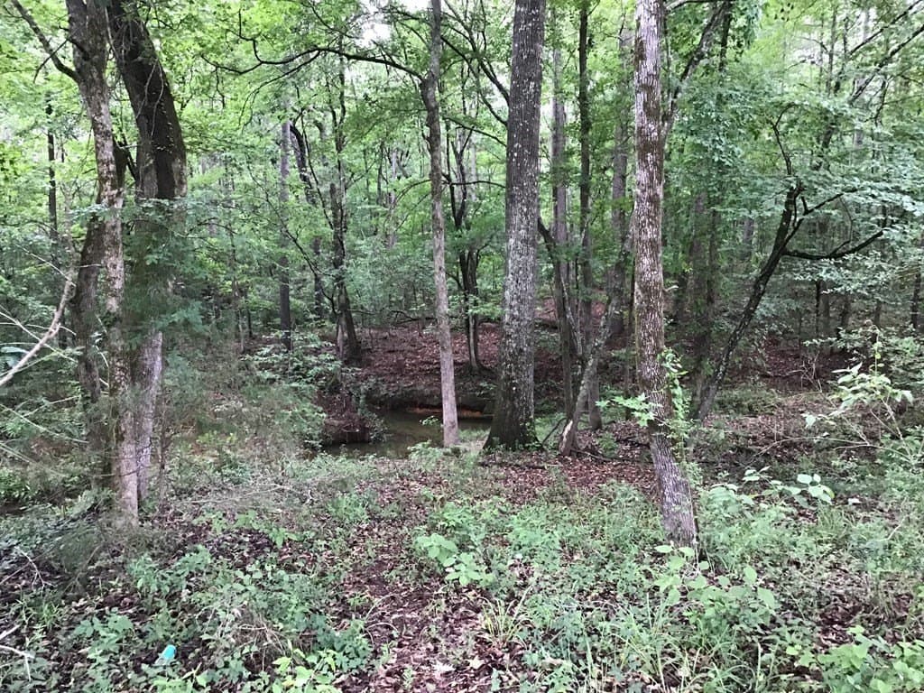52.68 acres in Texas County - photo 7