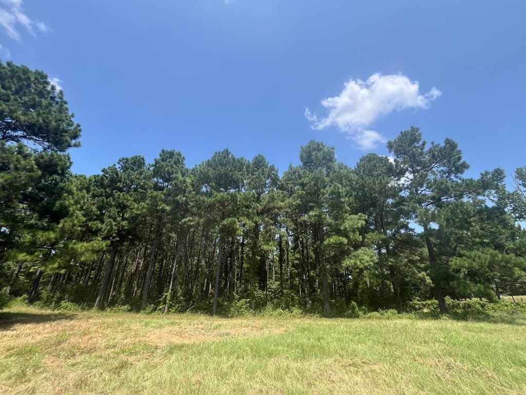 52.68 acres in Texas County - photo 2