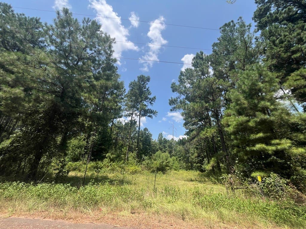 52.68 acres in Texas County - photo 10