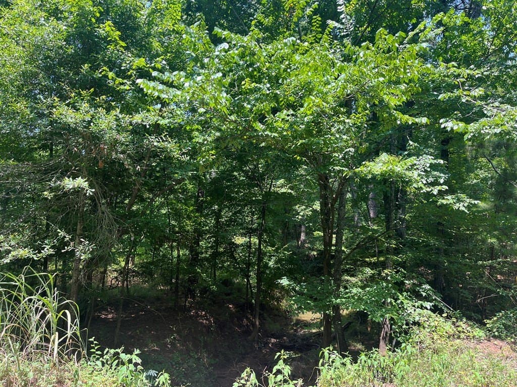 52.68 acres in Texas County - photo 8