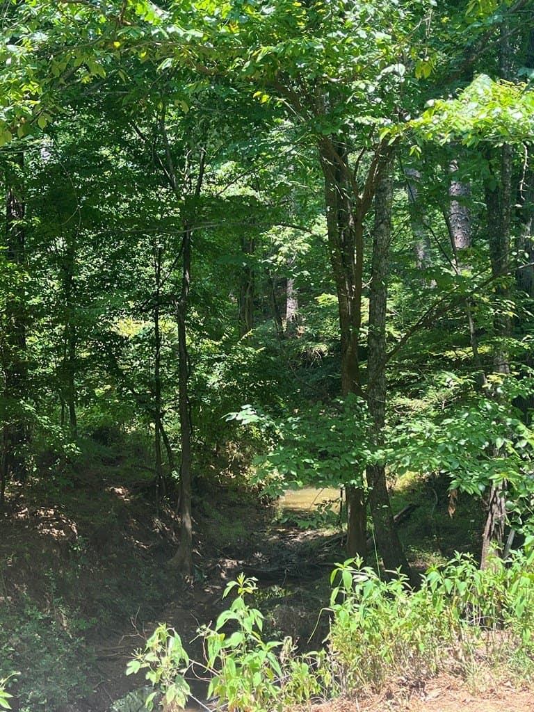 52.68 acres in Texas County - photo 9