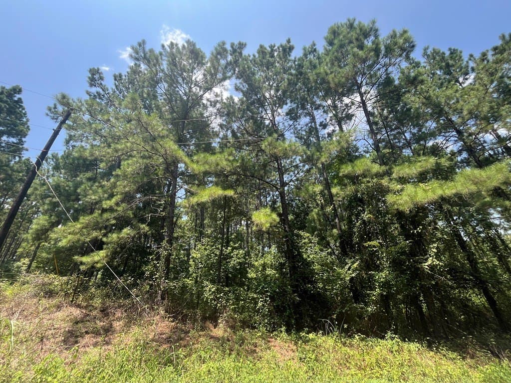 52.68 acres in Texas County - photo 6