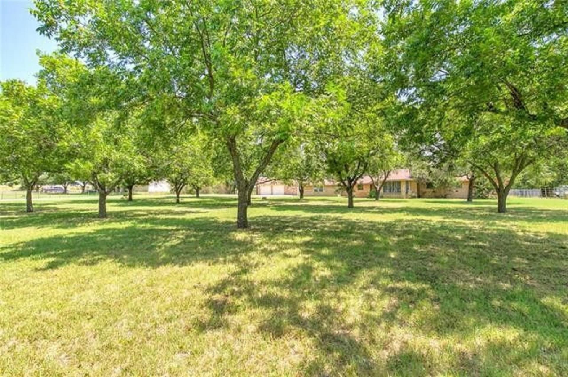 146.43 acres in Erath County - photo 28