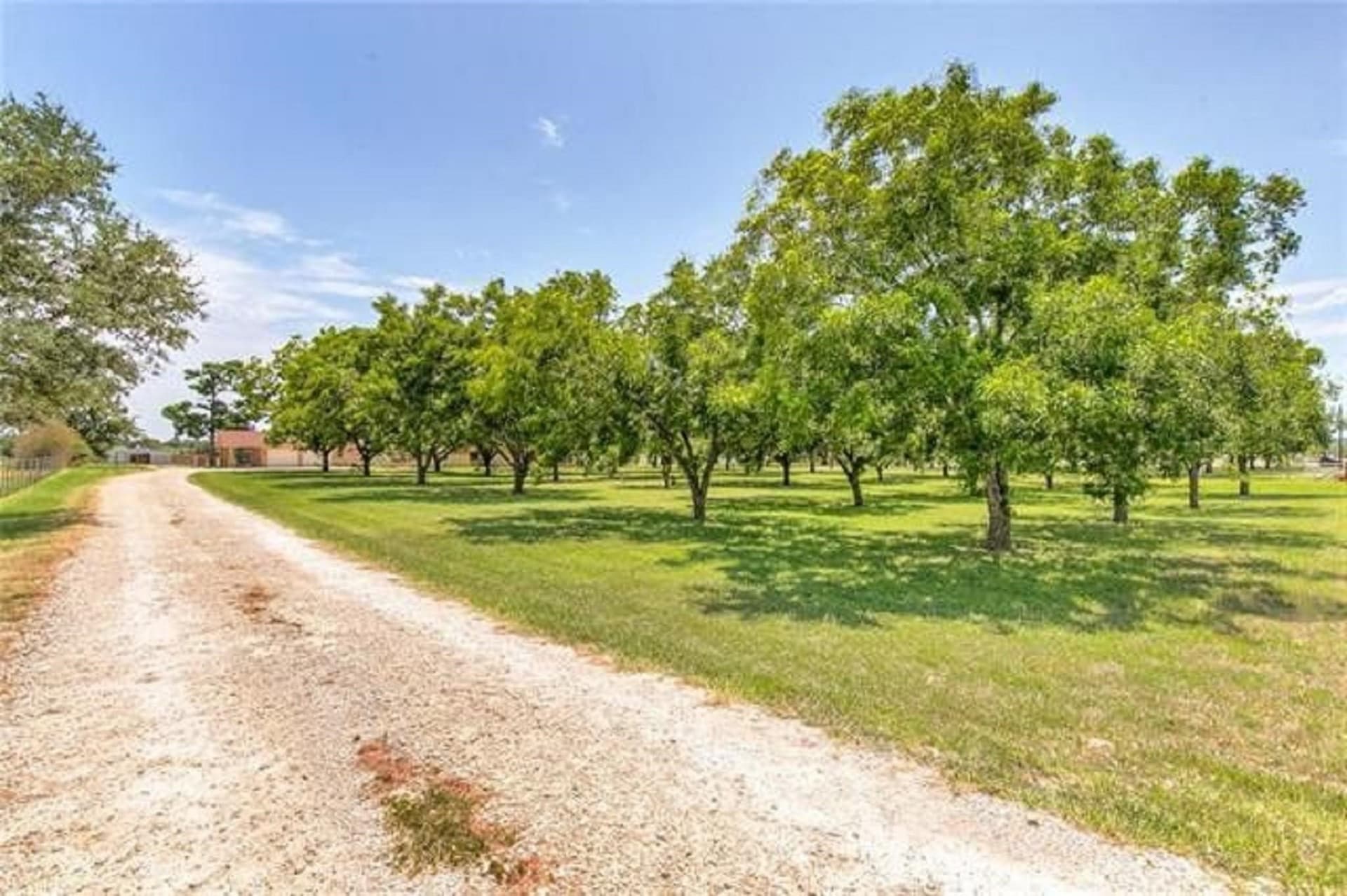 146.43 acres in Erath County - photo 40