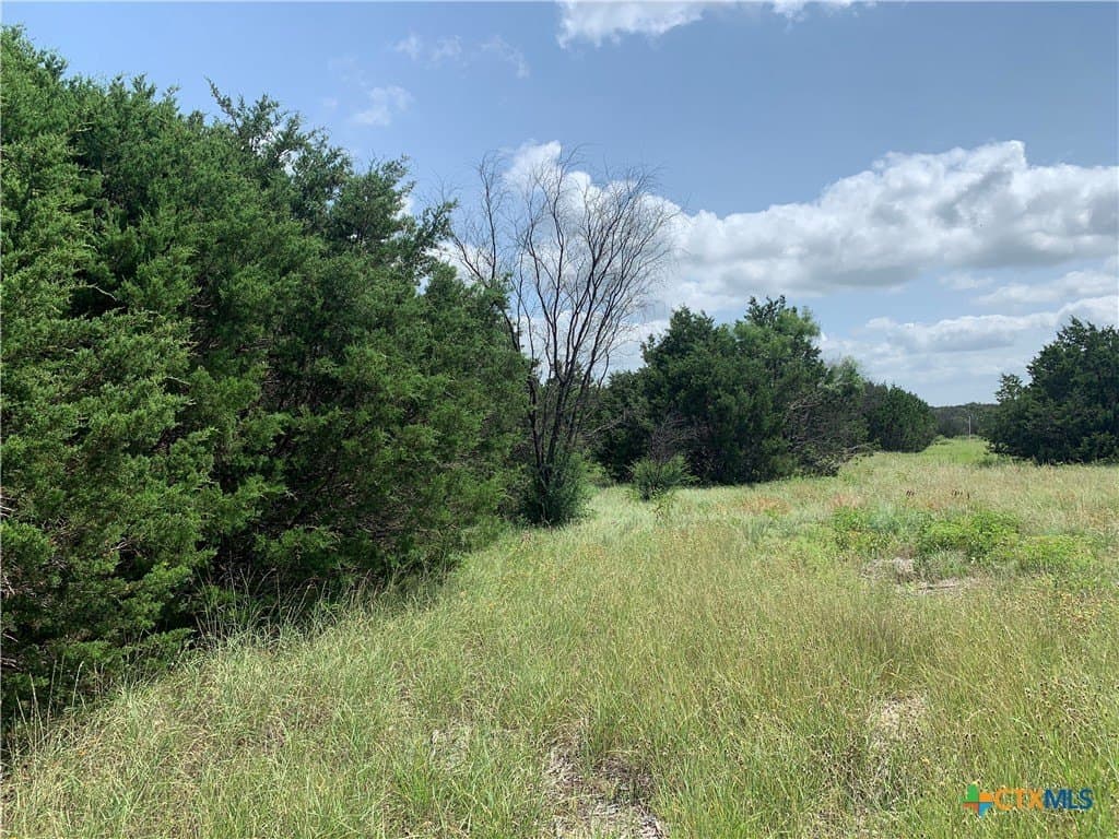 12.01 acres in Hamilton County - photo 13