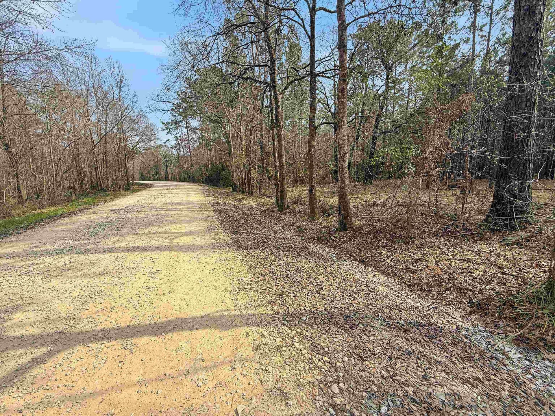 1.65 acres in Texas County gallery image 3