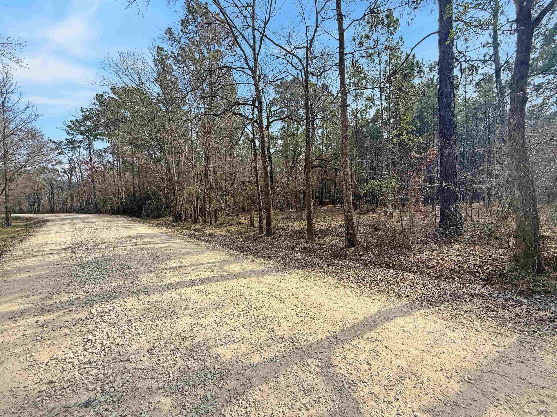 1.65 acres in Texas County gallery image 2