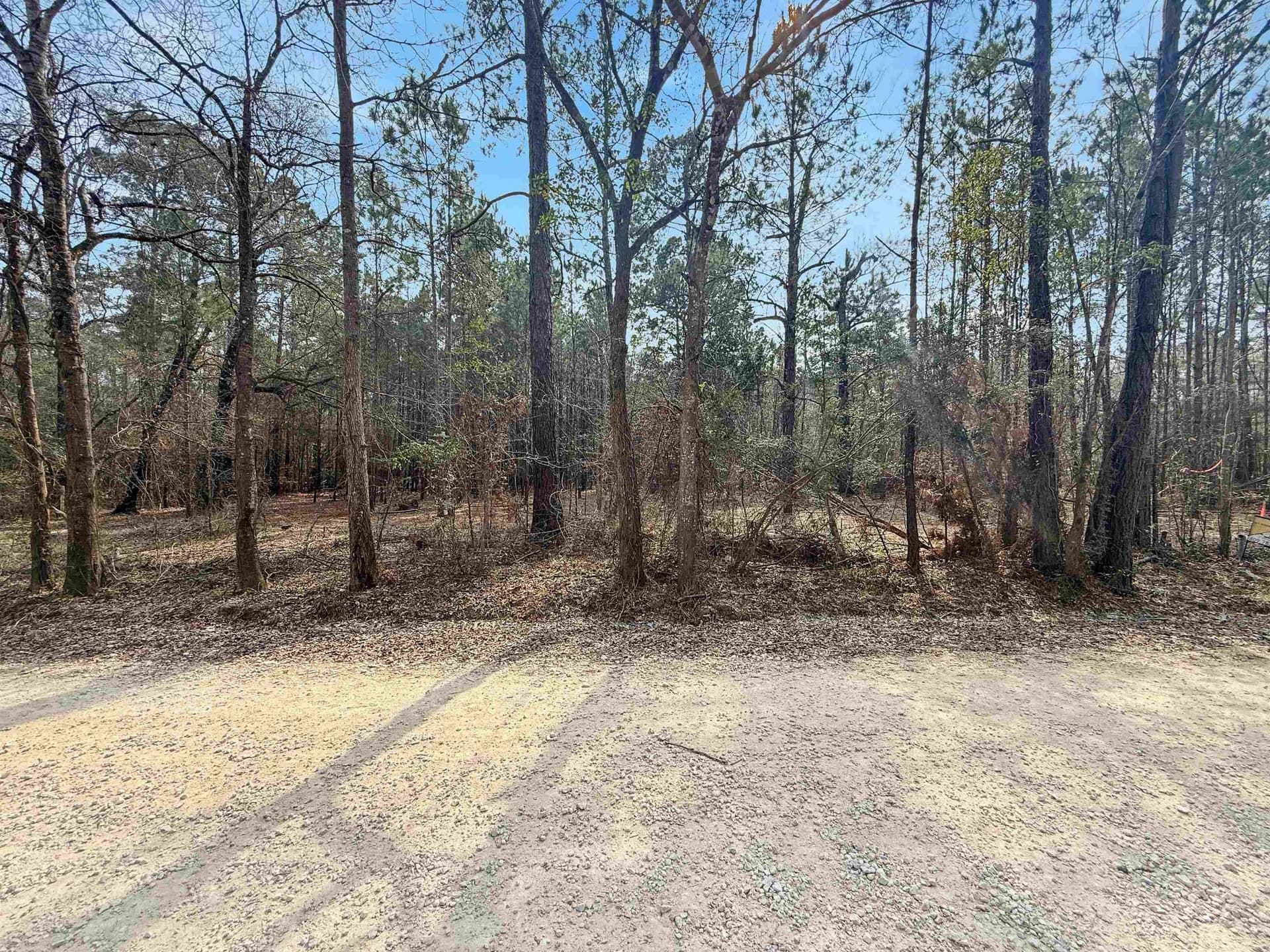 1.65 acres in Texas County