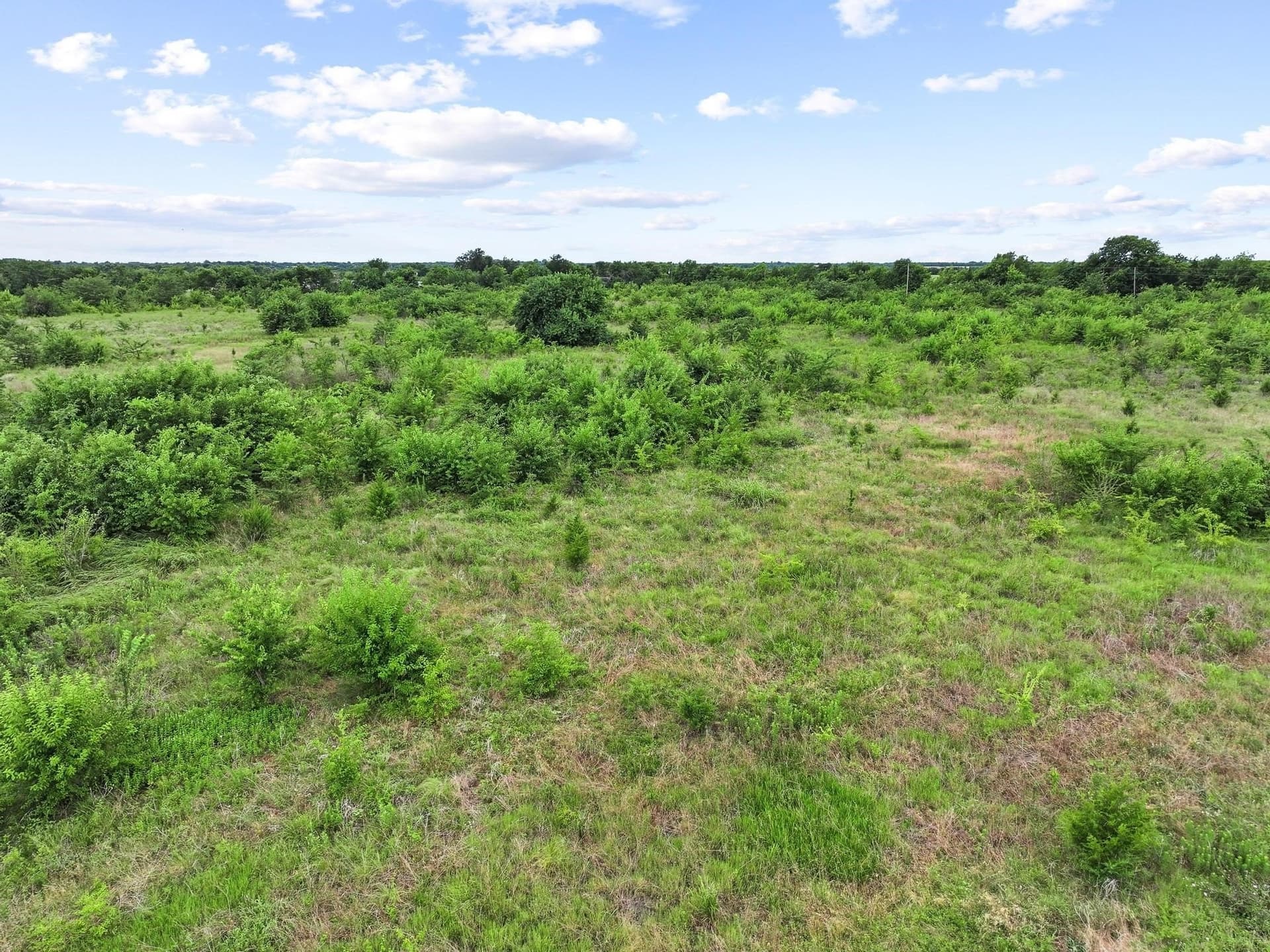 41.58 acres in Lamar County - photo 30