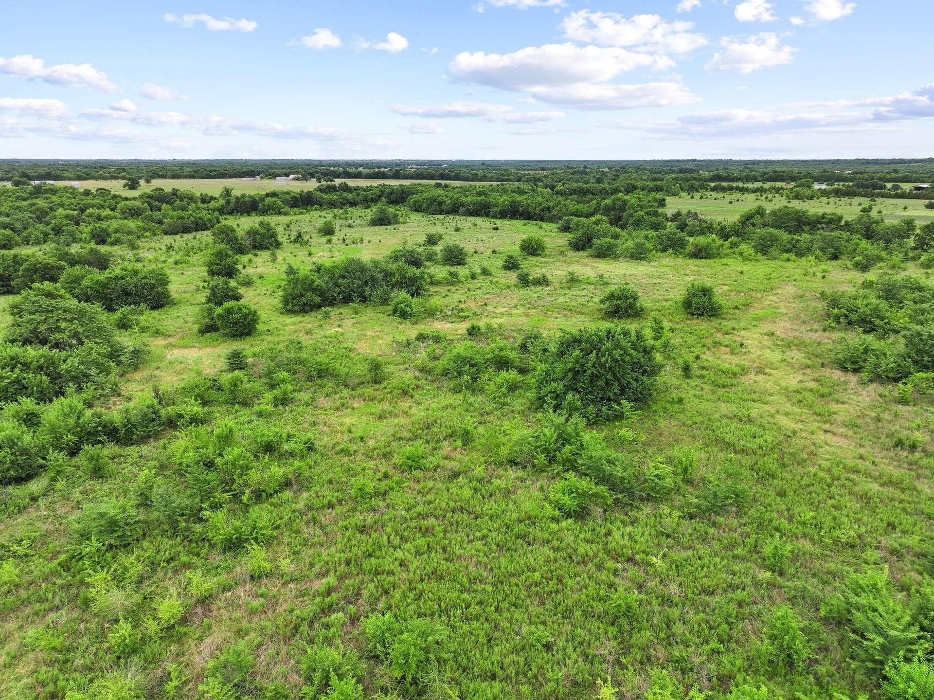 41.58 acres in Lamar County - photo 31