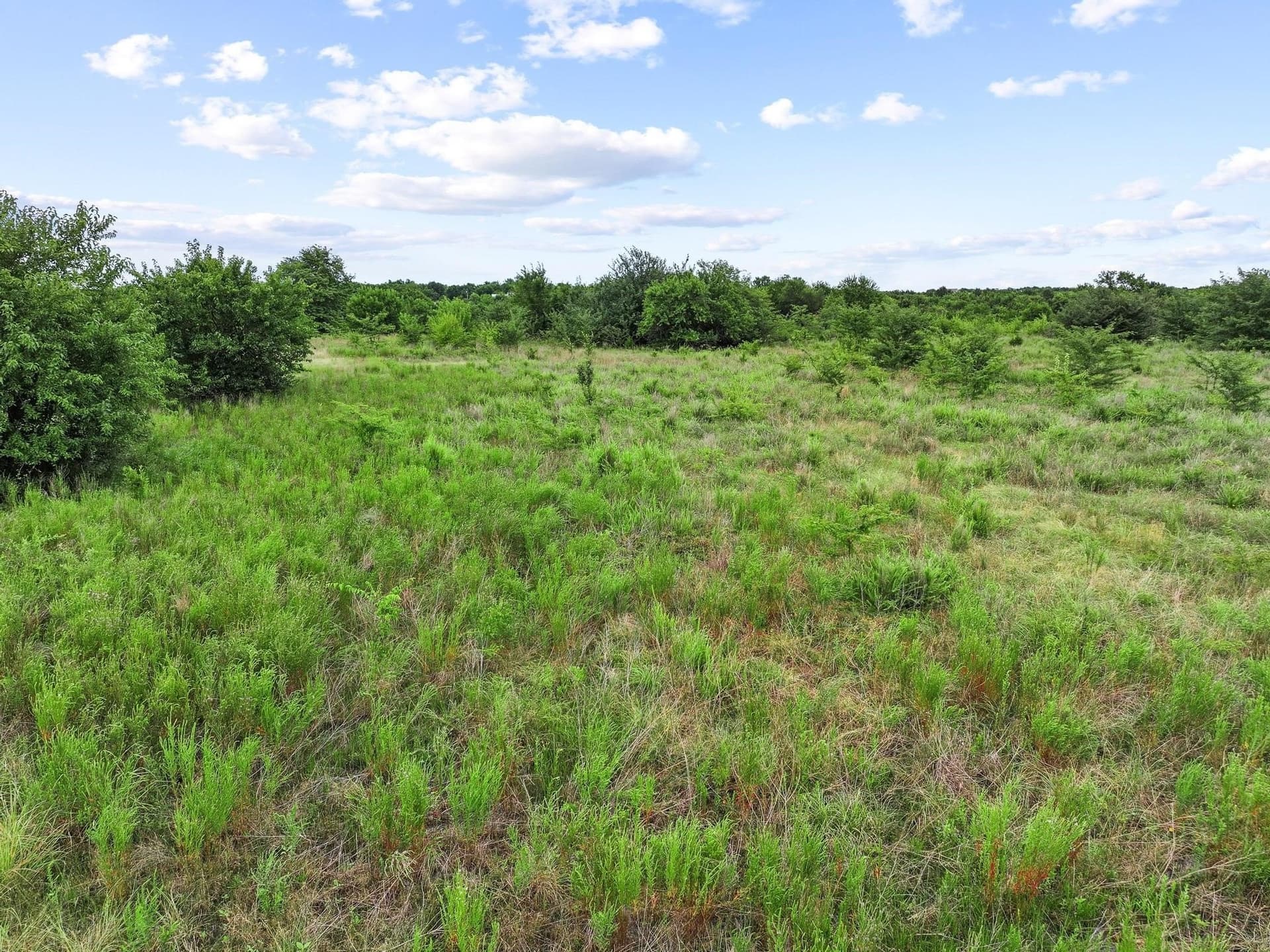 41.58 acres in Lamar County gallery image 2