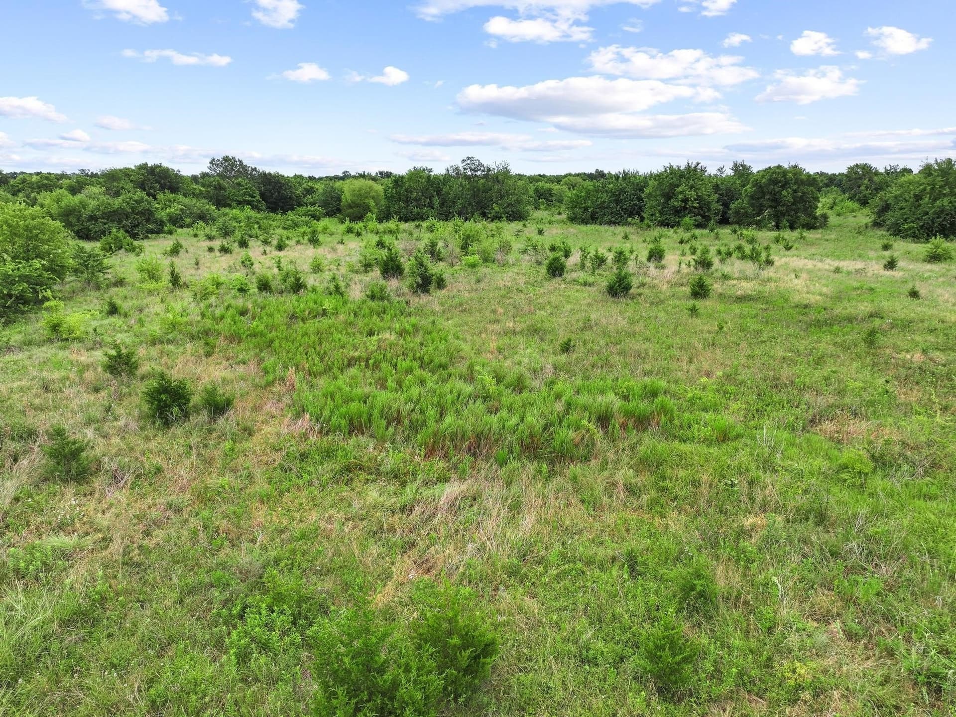 41.58 acres in Lamar County - photo 29
