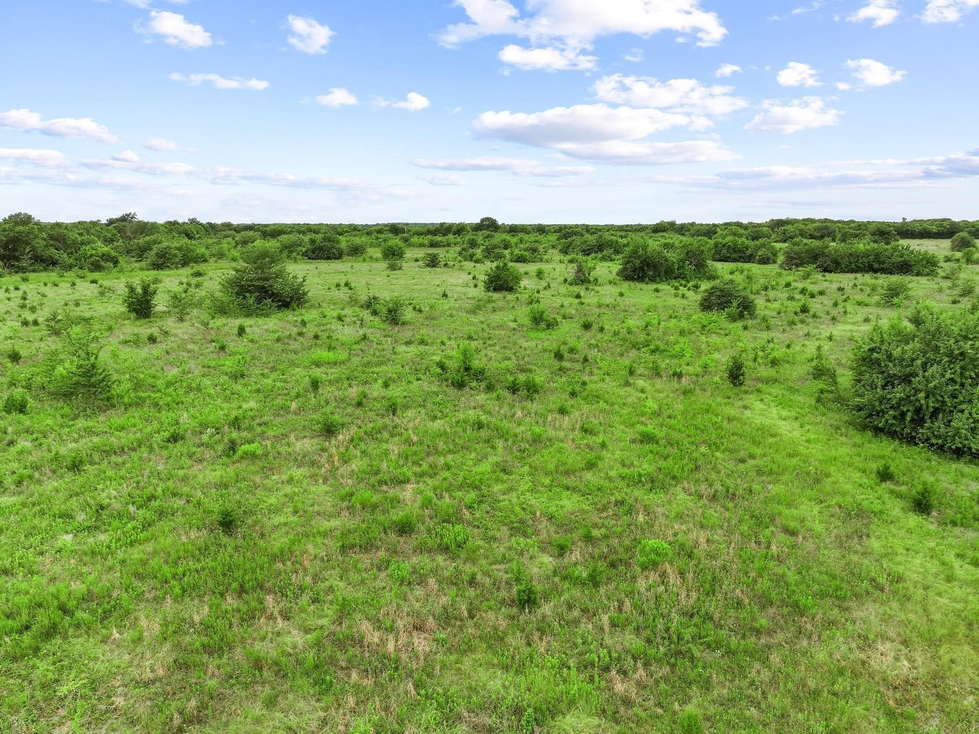 41.58 acres in Lamar County - photo 26