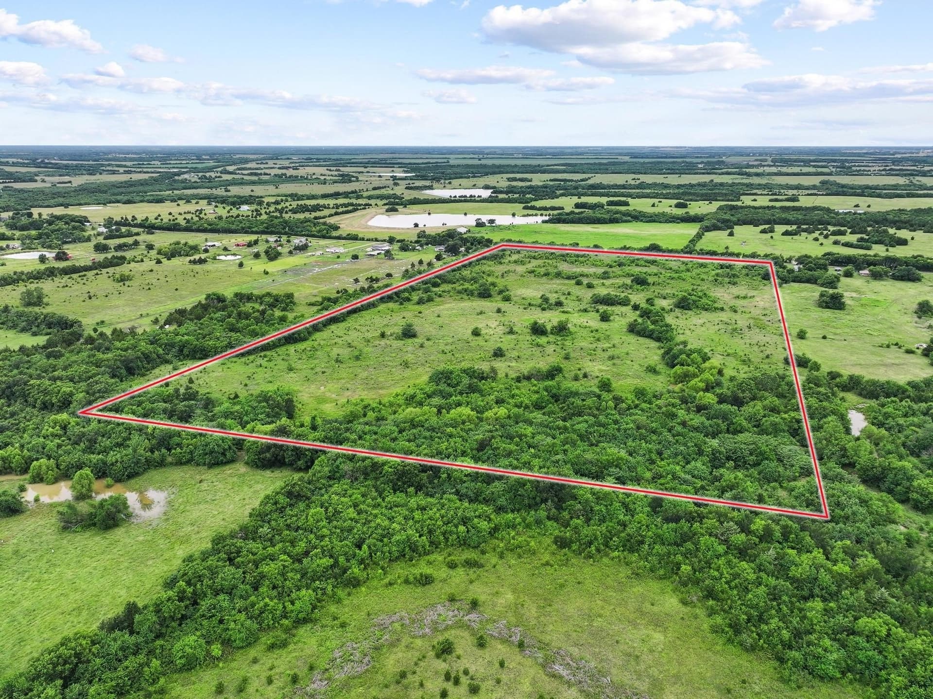 41.58 acres in Lamar County - photo 22