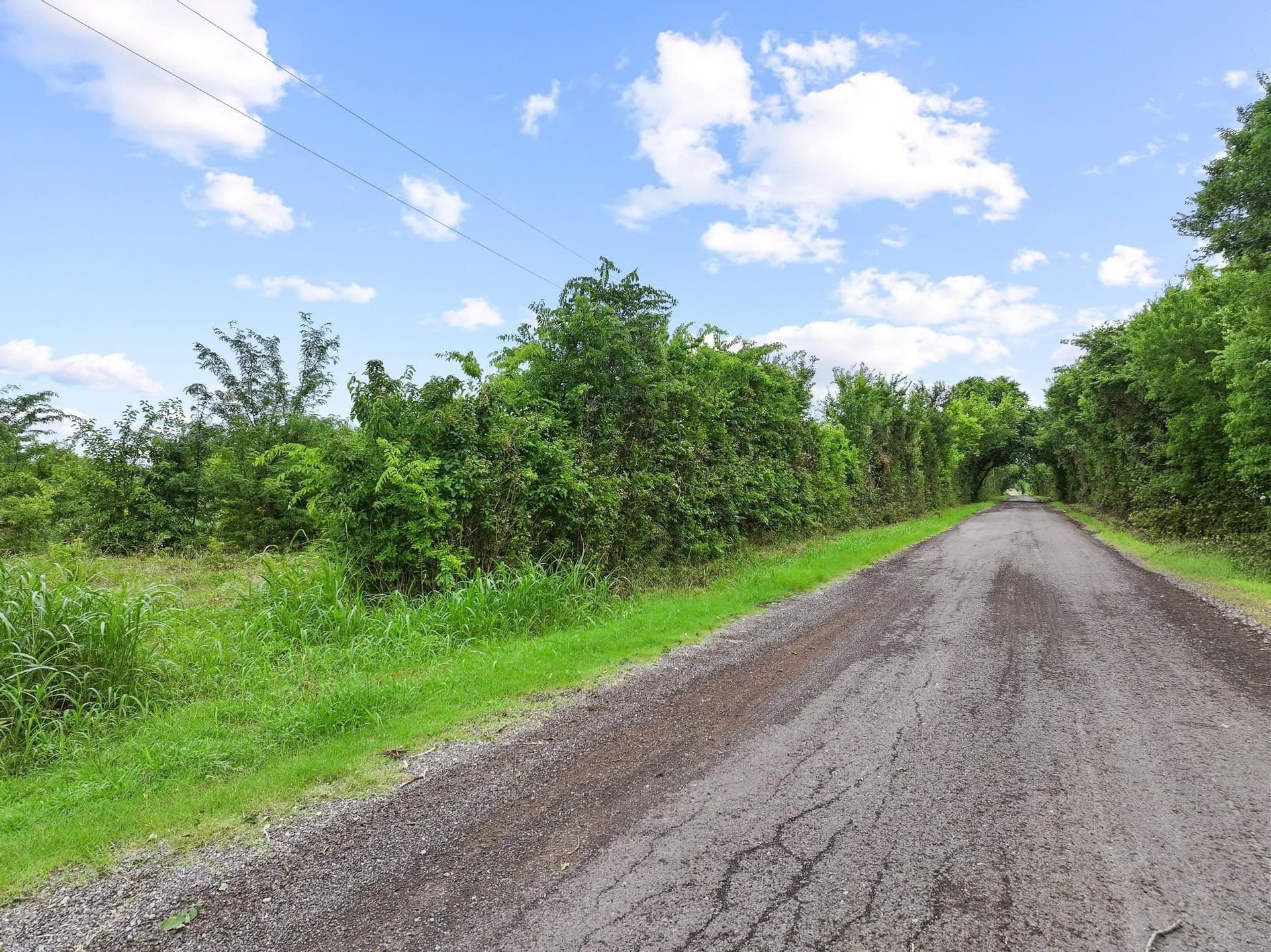 41.58 acres in Lamar County featured view