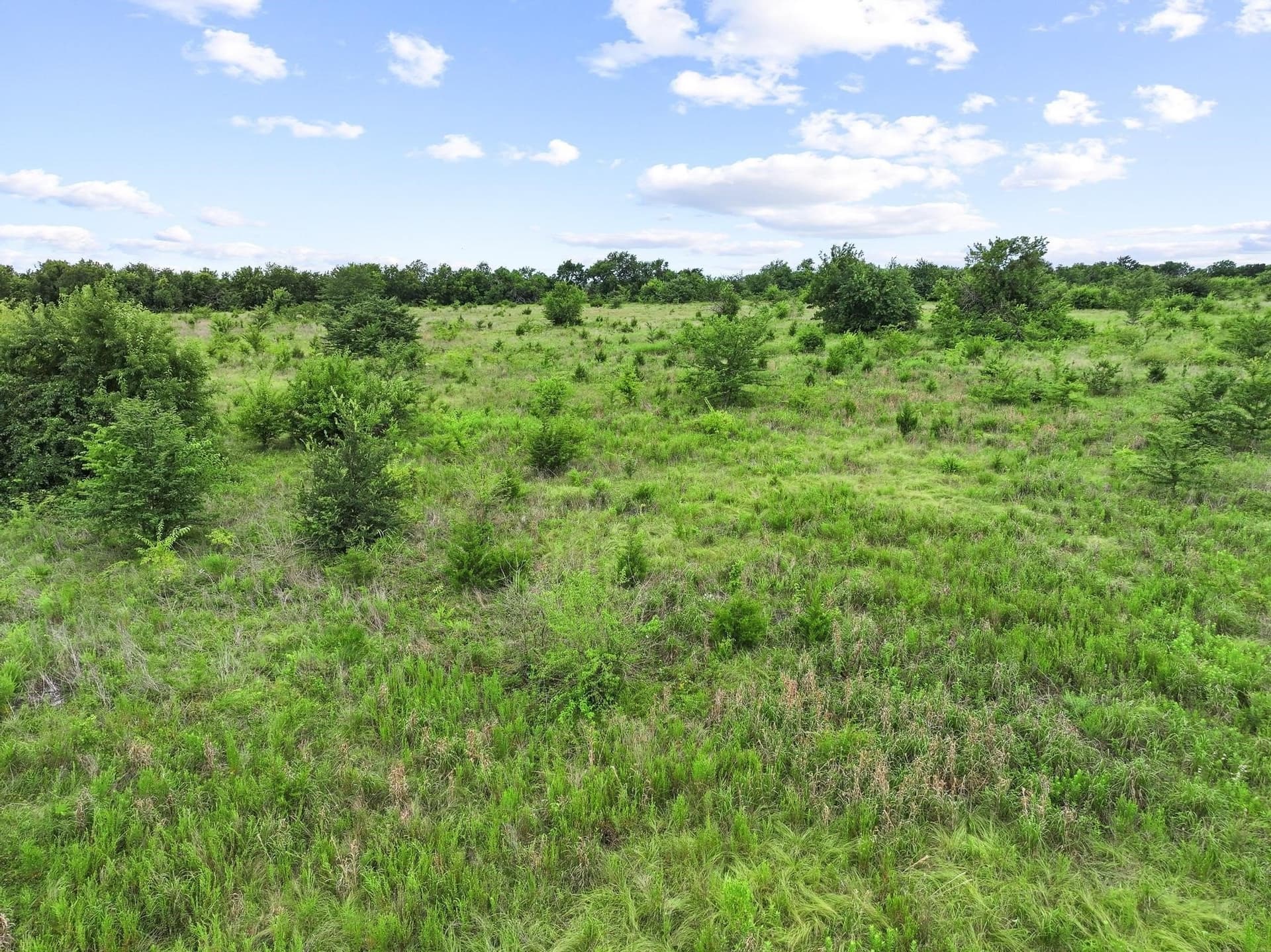 41.58 acres in Lamar County - photo 27