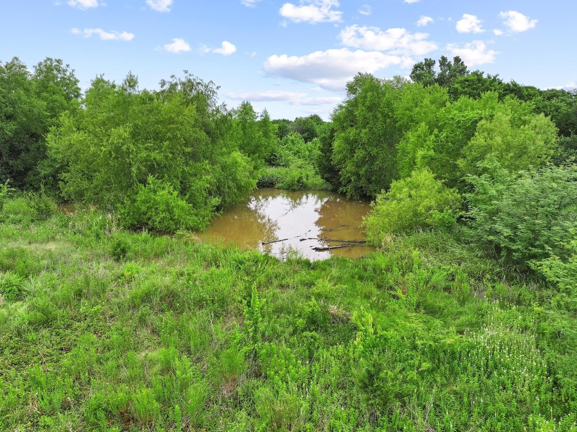 41.58 acres in Lamar County gallery image 3